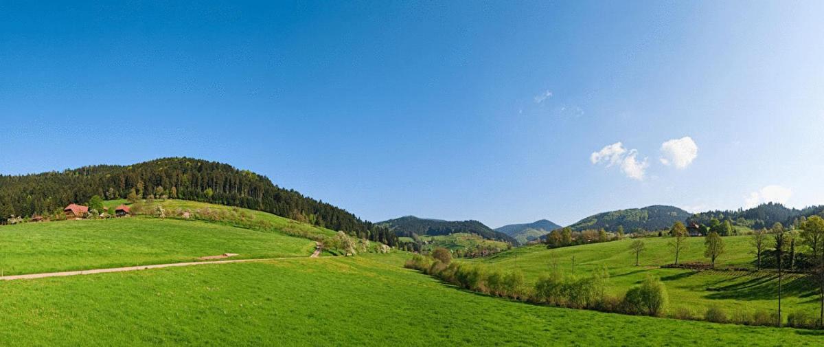 Hotel Fuxxbau Fischerbach Zewnętrze zdjęcie