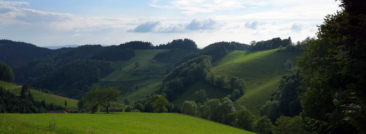 Hotel Fuxxbau Fischerbach Zewnętrze zdjęcie